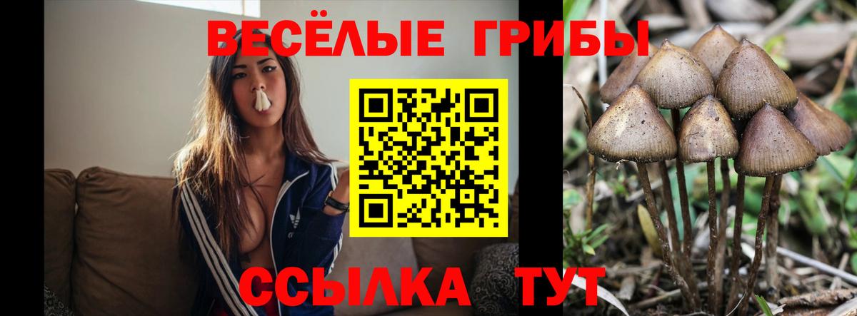 Псилоцибиновые грибы ЛСД Мирный