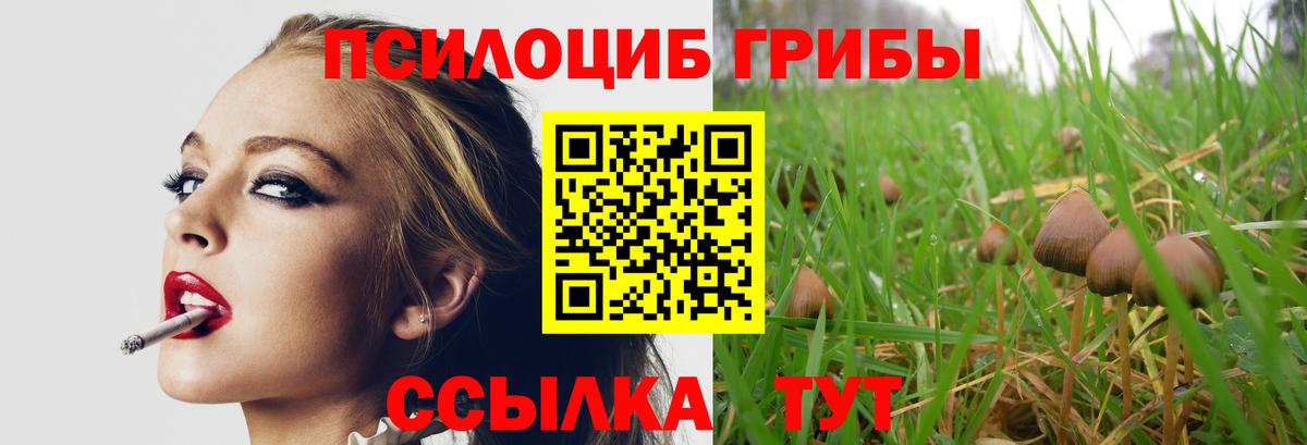 Псилоцибиновые грибы Psilocybine cubensis  Вход с VPN  Мирный 
